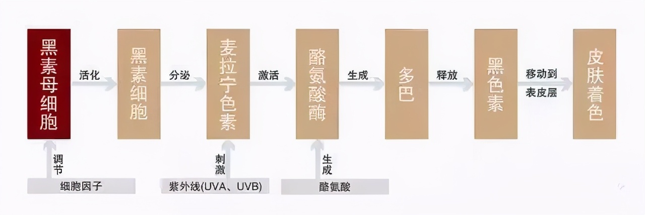 为什么年纪轻轻就头发花白,为什么年纪轻轻就长白头发