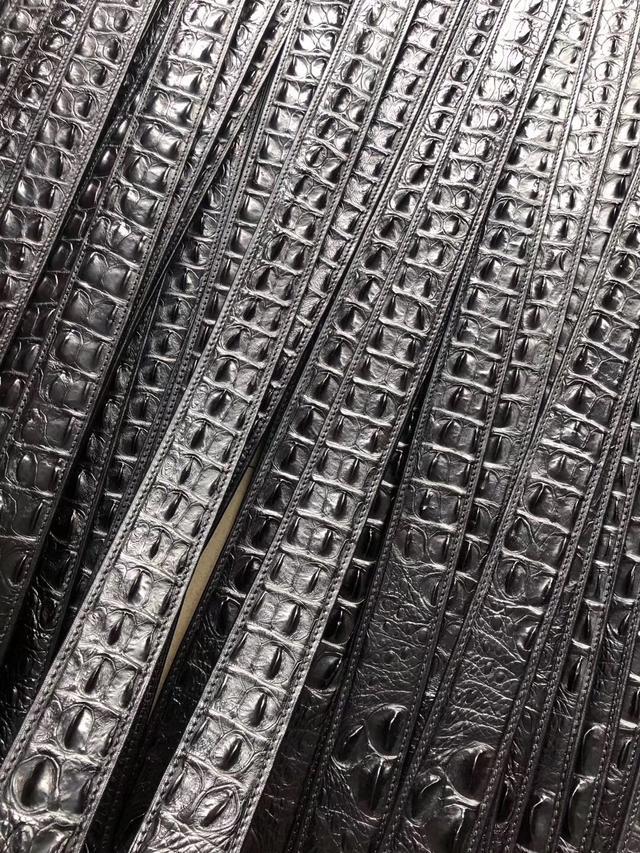 十大天价鳄鱼品种,真正的鳄鱼多少钱