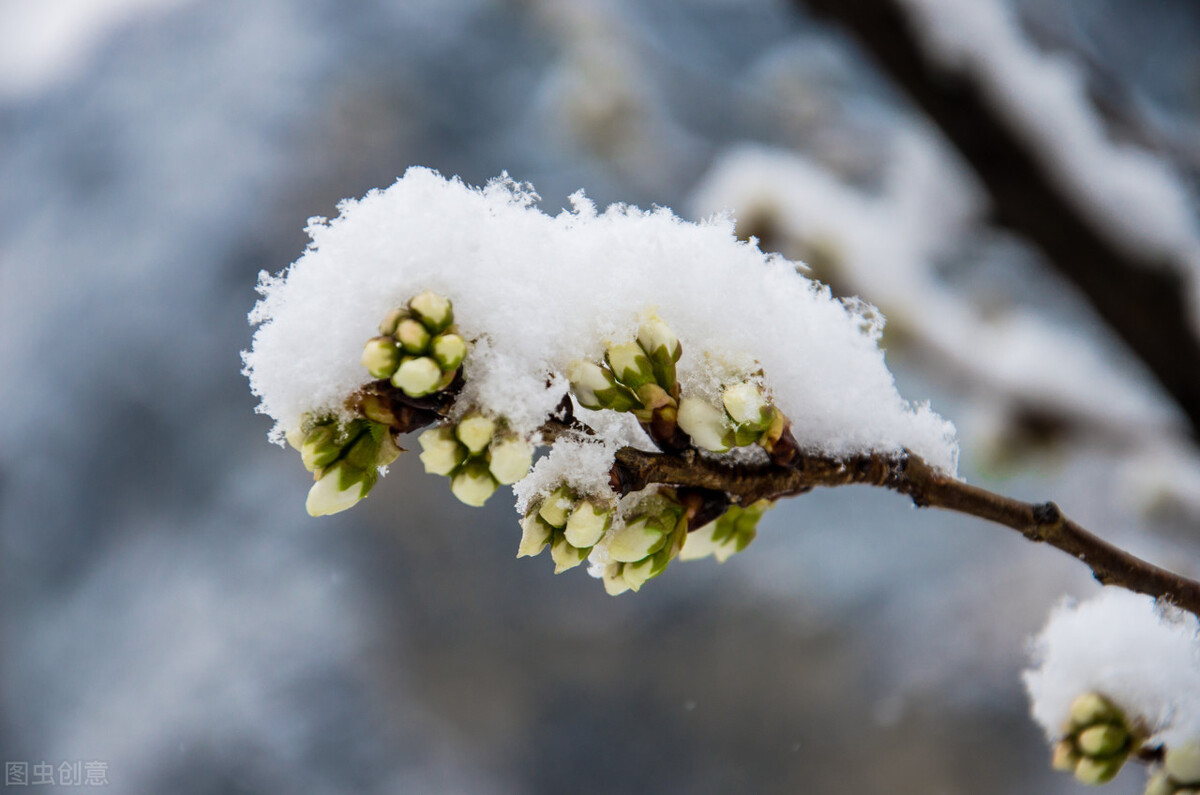 王者荣耀名字搞笑幽默,王者荣耀名字空白代码