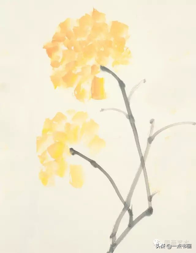 王绣写意牡丹画法步骤,王兮然写意牡丹画法视频大全