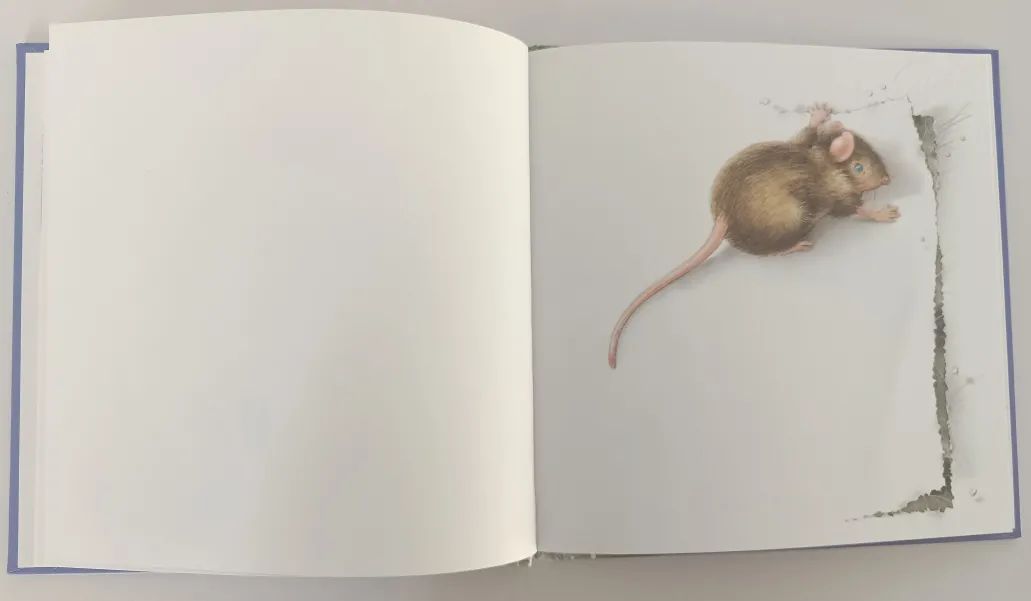 无字绘本老鼠,绘本懒惰小老鼠是怎么介绍的