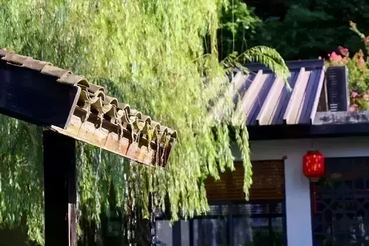 深圳免门票景点推荐,深圳市内近20个景点一票通玩