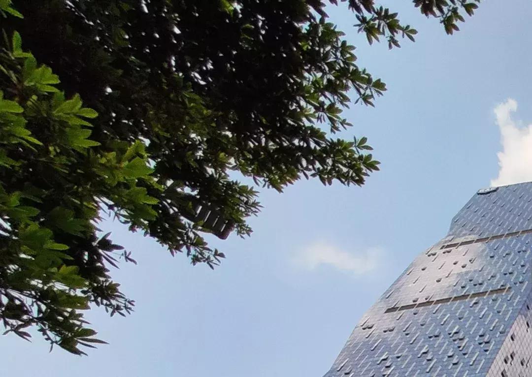 小米9发布会雷军怼华为手机,小米9雷军拍月亮