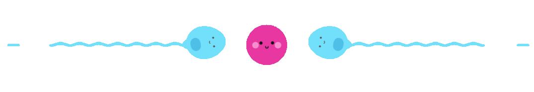 女性子宫的4大健康问题，绑架了你的婚姻和孩子