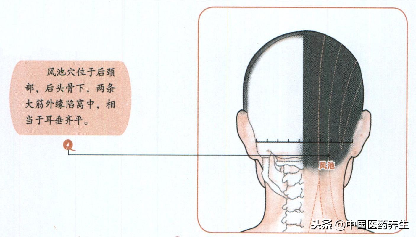 过敏性鼻炎揉按哪个穴最快,鼻炎的取穴和配穴