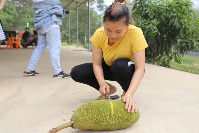 果肉饱满香甜浓郁白沙荣邦吴其貌线上销售菠萝蜜助农增收销路畅