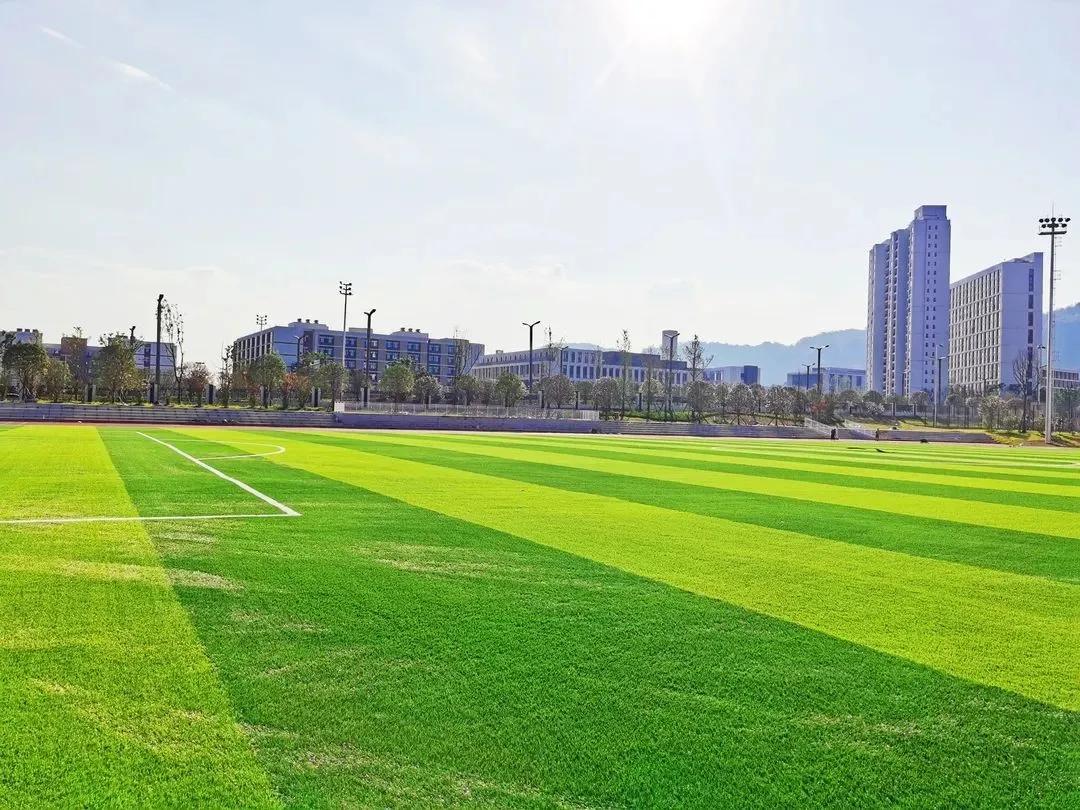 成都理工大学宜宾校区新信息,成都理工大学宜宾校区社团招新