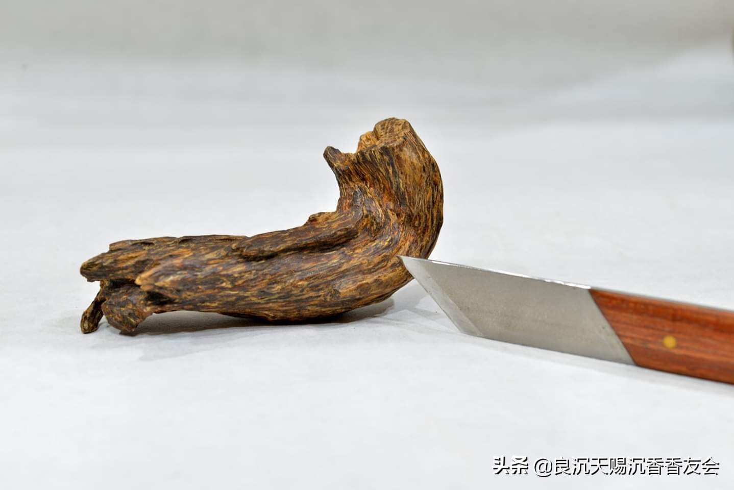 沉香及伪品沉香的鉴别,如何鉴别进口沉香与国产沉香