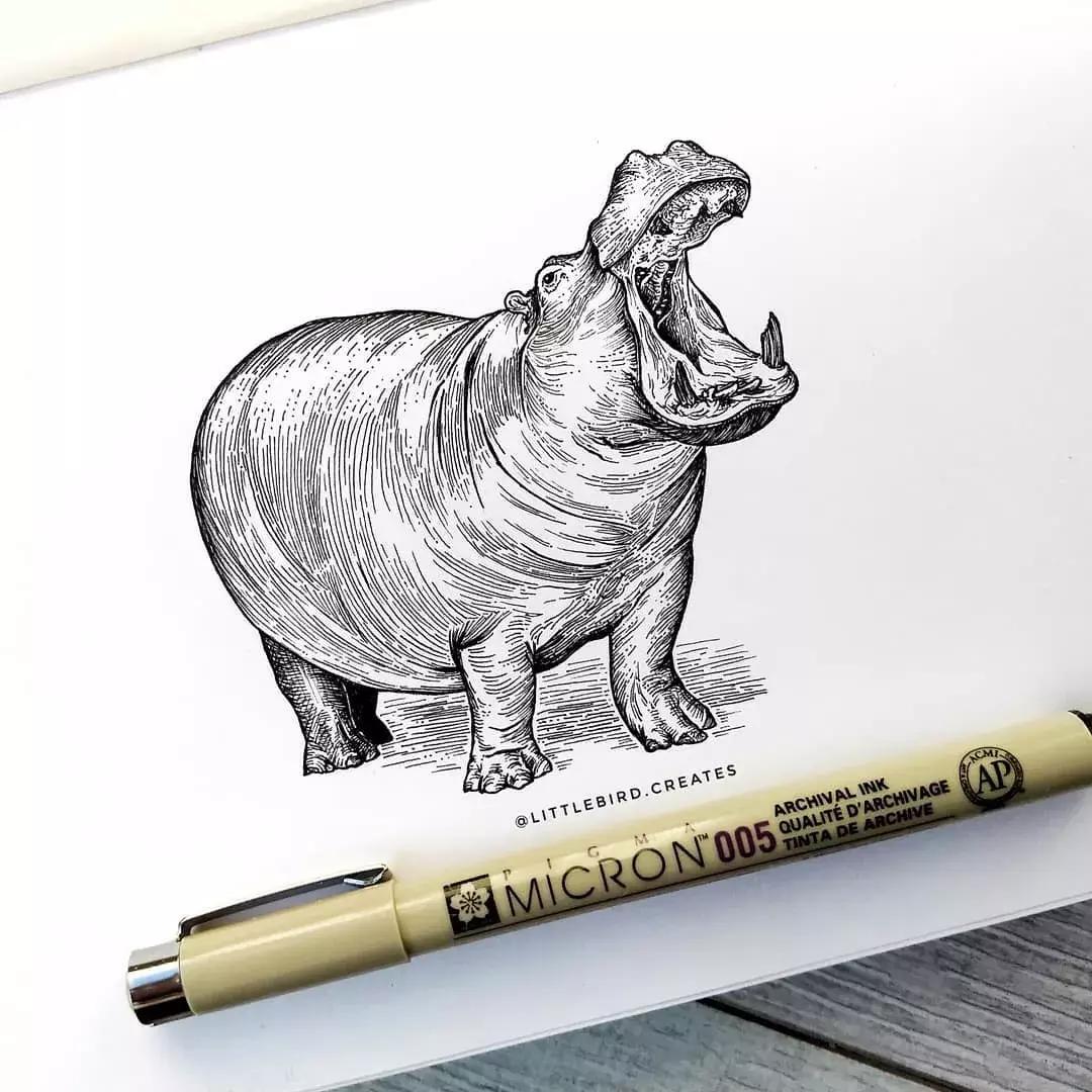 这一波手绘太给力了,绝对让你练完不厉害都难