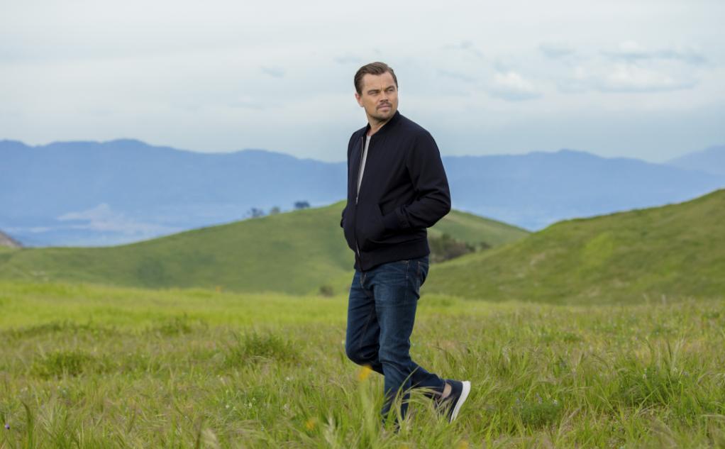 allbirds鞋多少钱一双,allbirds值得入手吗