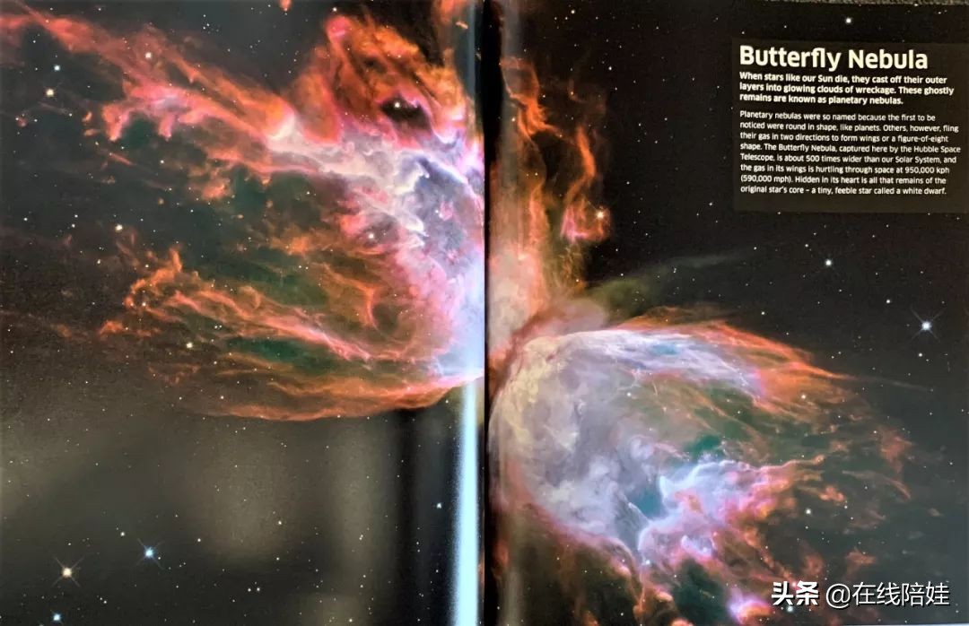 dk知识大百科全套,dk知识大百科书金银版