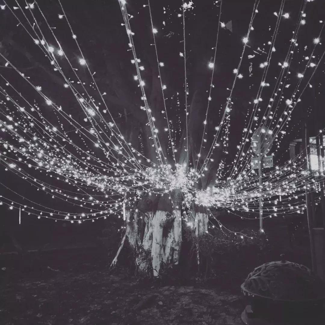 网红拍照滤镜怎么调的,拍出网红照滤镜