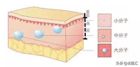 玻尿酸的作用与危害打了要肿几天,玻尿酸补水修护精华液的功效作用