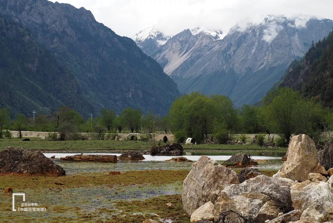 “线上有群，线下有家”模式正式启动，自驾友的福音