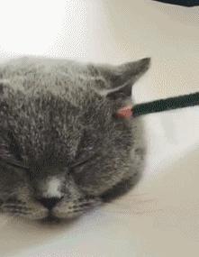 同一支炭笔，为啥人家可以吃透素描结构和质感，看完这一波你也行