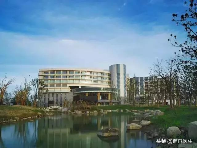 上海可带宠物入住的酒店推荐,怎么选宠物友好酒店房间