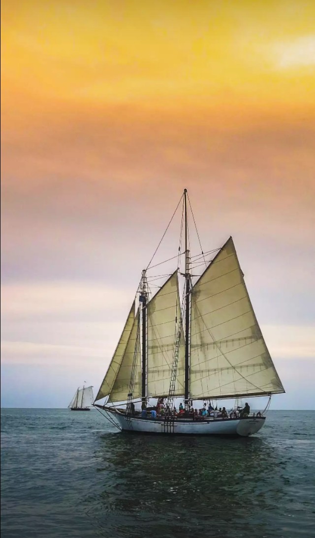 做一个本分的人的句子,本分做人的句子