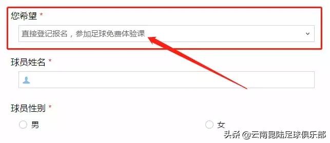 昆明青少年足球暑假培训班,昆明国际青少年足球培训