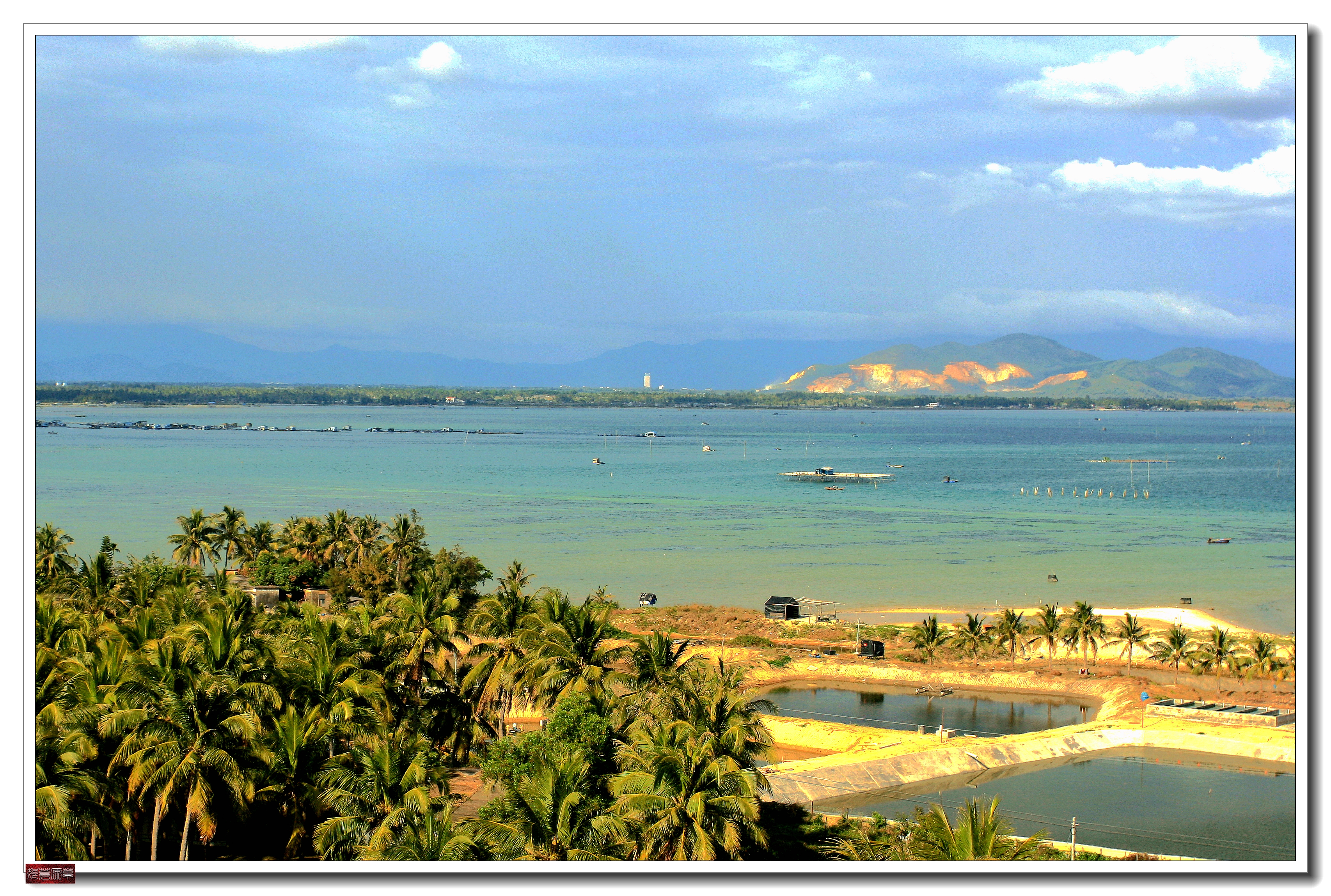 南湾猴岛猕猴王国,猕猴乐园南湾猴岛