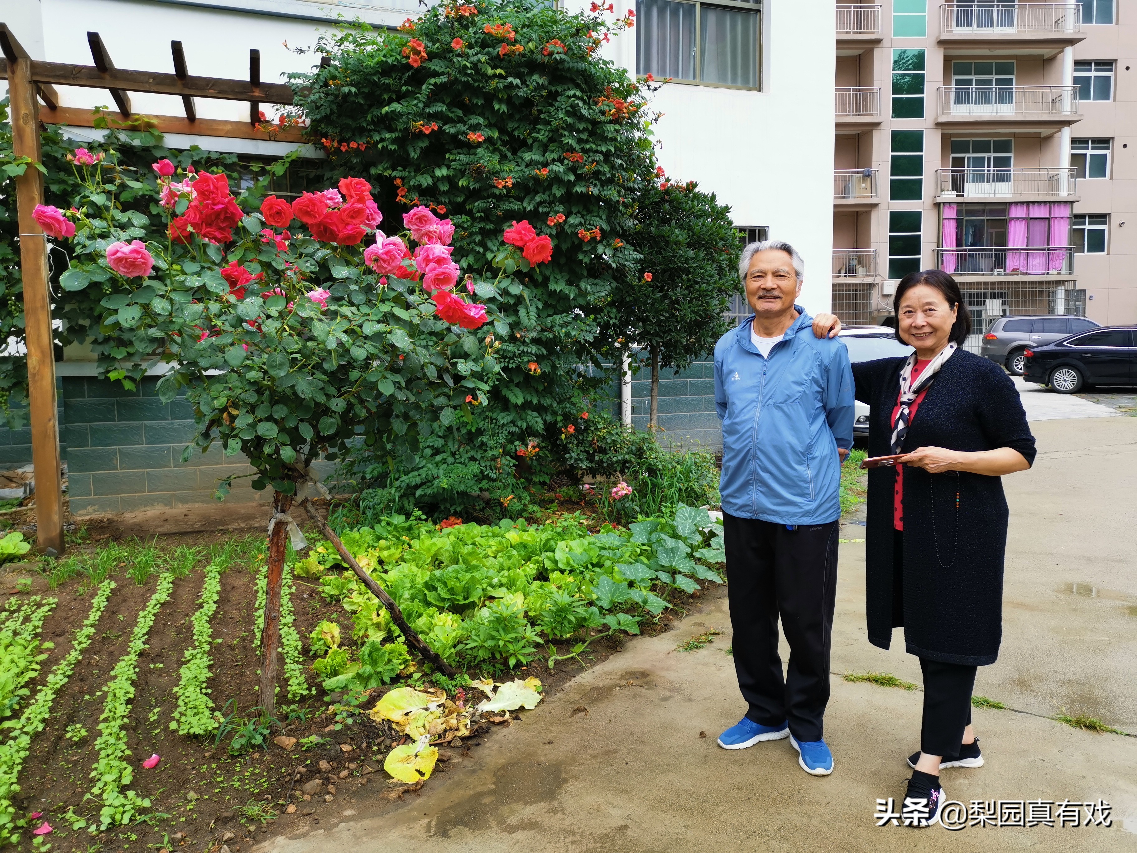 为爱妻赔钱卖房治病！向河南曲剧名丑胡希华这样的好丈夫致敬点赞