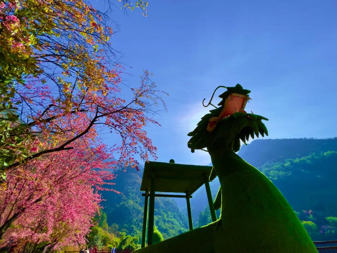 2024攀枝花旅游,攀枝花旅行榜单