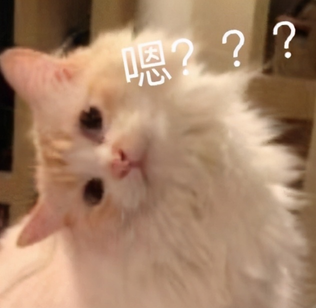 如何提高英语水平进外企,想进外企英语学什么好