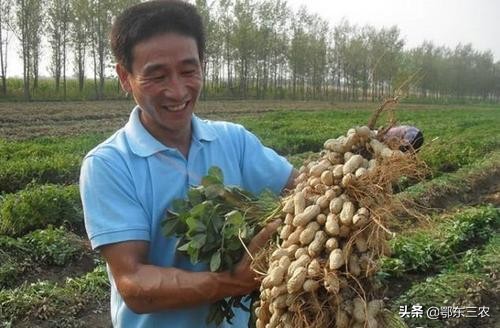 为什么都不愿意当农民,为什么大家都喜欢当农民