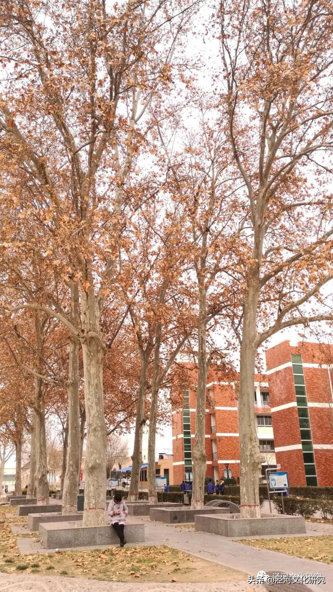 泾干中学90级,泾干中学高一入学时间