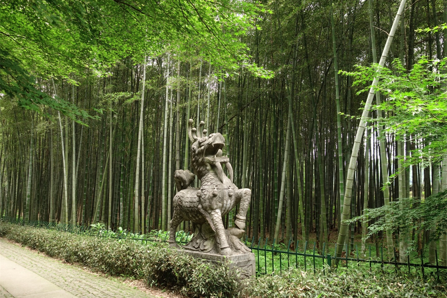 杭州隐藏的小众景点,杭州西湖摄影的最佳位置