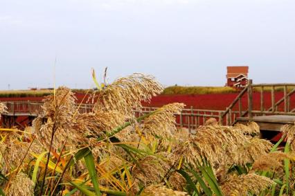 十一沿途风景,十一去红叶谷的景致
