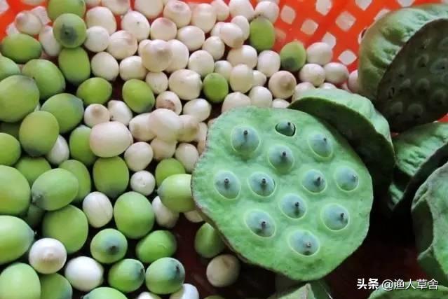 中国地理标志农产品品牌有标识吗,全国农产品地理标志排名