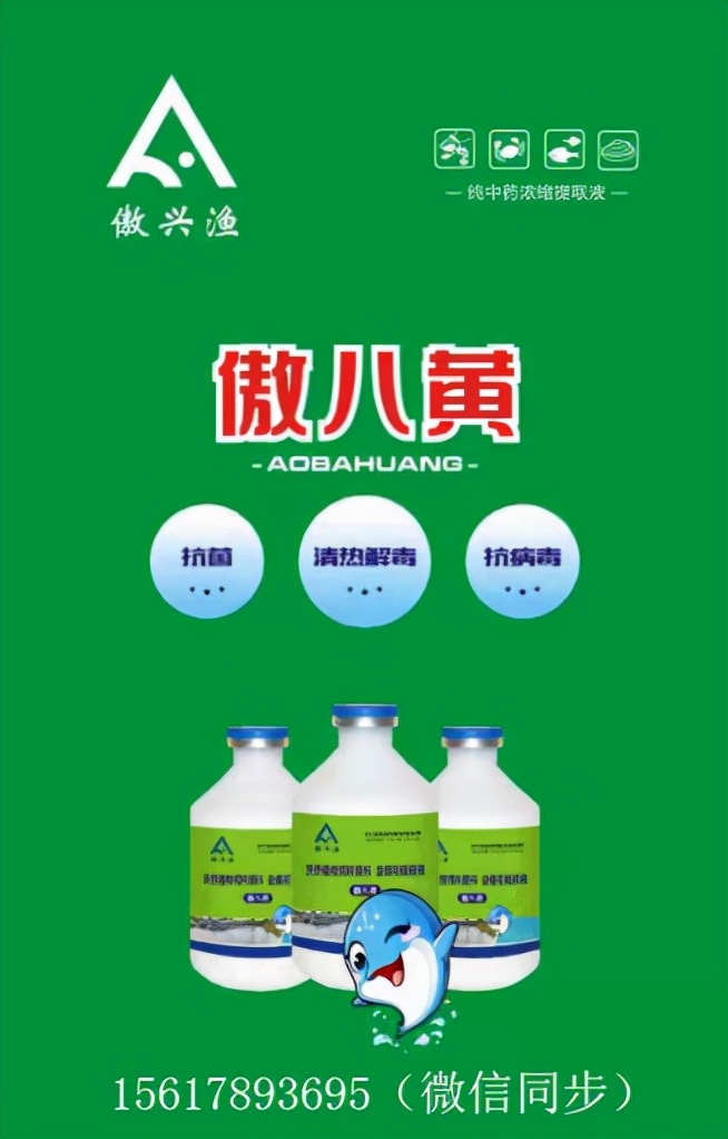 桂鱼常见病害症状及防治方法