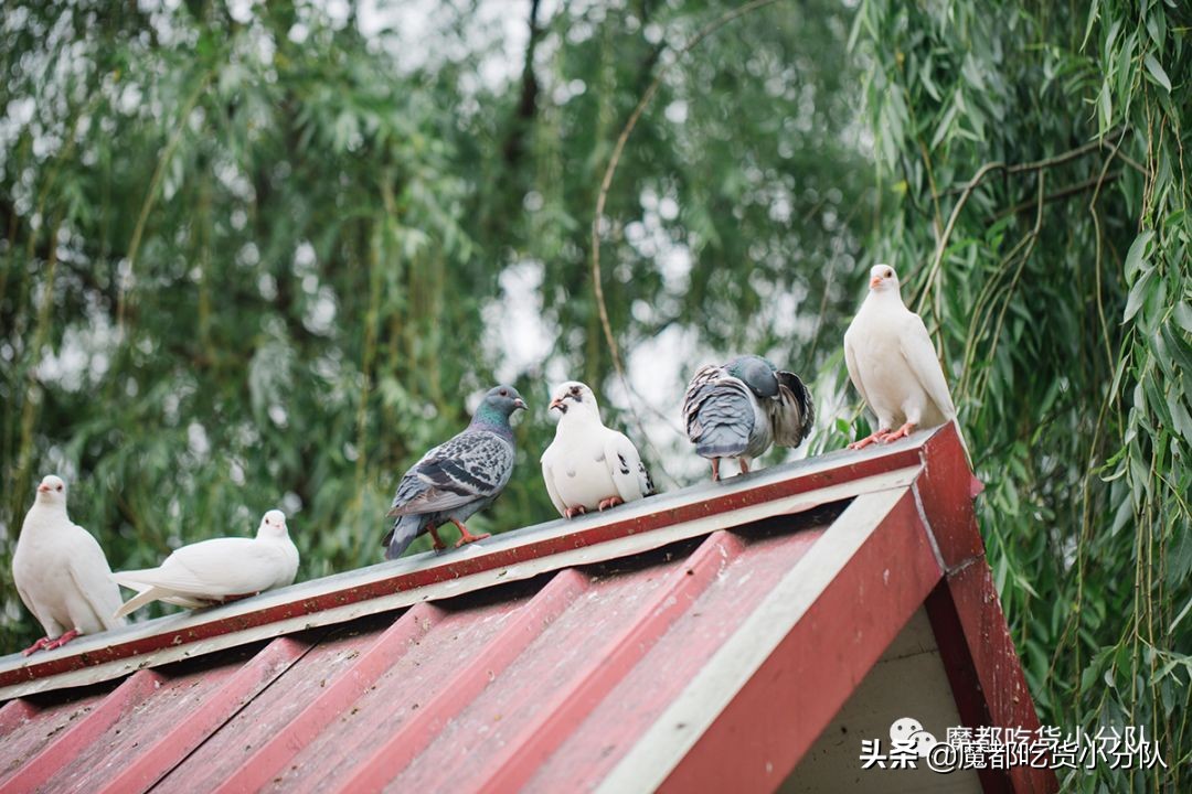 高考择校tips,高考择校指导985211