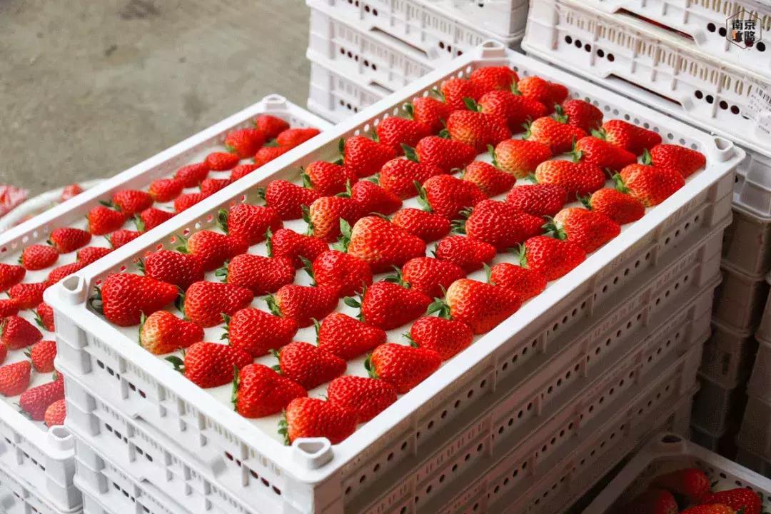 众彩物流公司年货,众彩物流年货大集