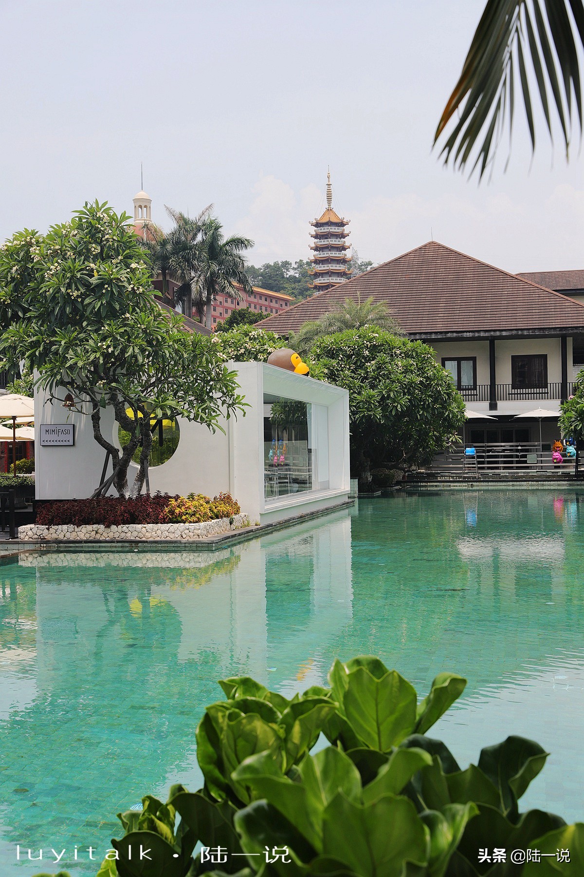 毛血旺厦门,厦门好吃的川菜排行榜