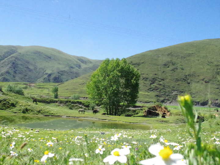 王小花的全部作品,王小花攻略