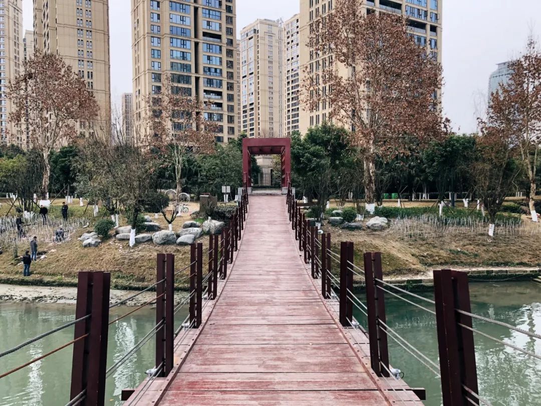 成都新增2个公园,成都到处都是公园城市