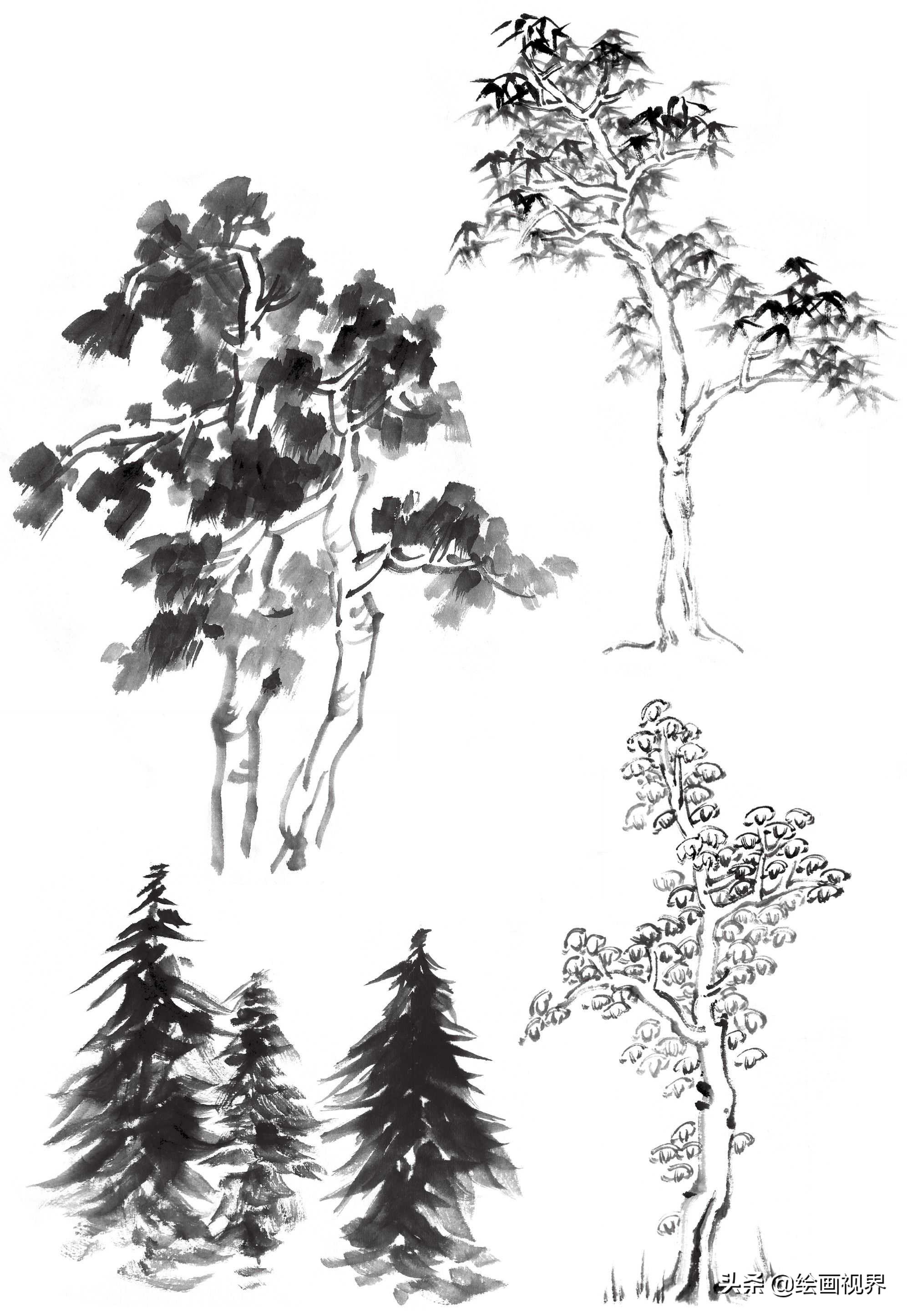 国画双钩树的画法入门,国画杂树与山石的画法图片