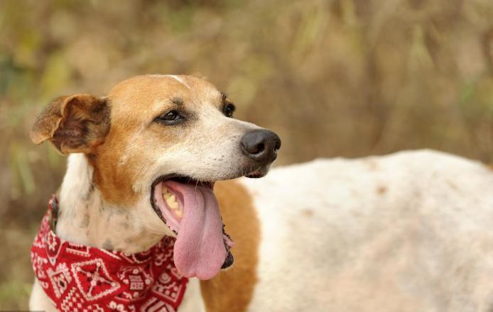 学会这7个科学的练声方法和13个唱歌技巧，你也可以成为KTV麦霸