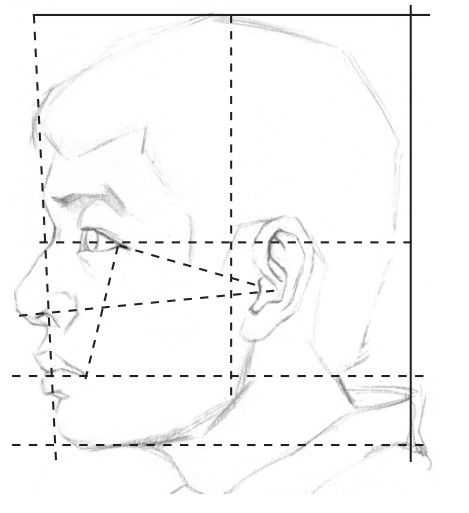 零基础怎样画最简单的素描教程,零基础的素描教程怎么画