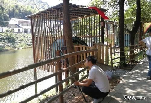 适合农村做的项目投资少见效快,农村适合做哪些创业小项目