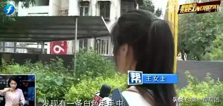 罐头吃出虫子商家有责任吗,罐头吃出蛆投诉商家还是厂家