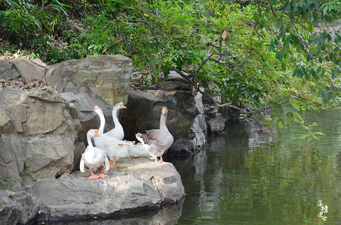 浙江绍兴的风景名胜,绍兴王羲之故居旅游区