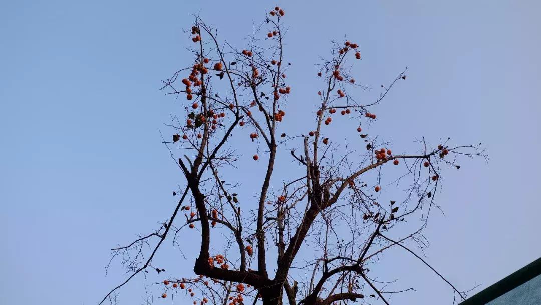 北京南锣鼓巷东一公里打卡地,北京南锣鼓巷旅游攻略必玩的景点