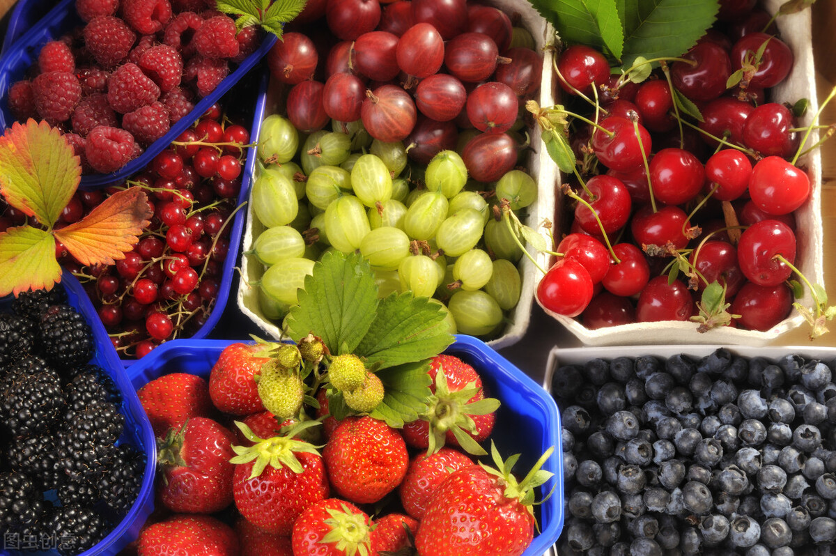 老年人严重缺乏营养该怎么补身体,老年人缺什么营养最好