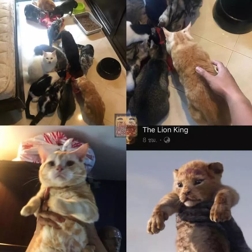 让人惊艳的cosplay,十大魔性cosplay