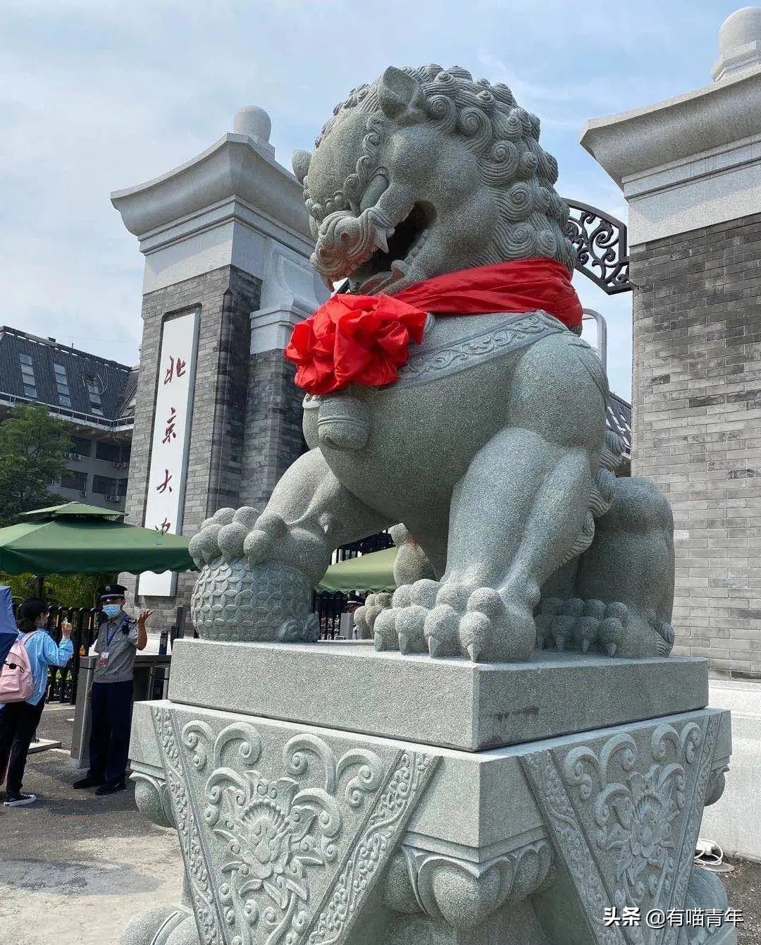 北大石狮子绝育事件,北大石狮子修复了吗