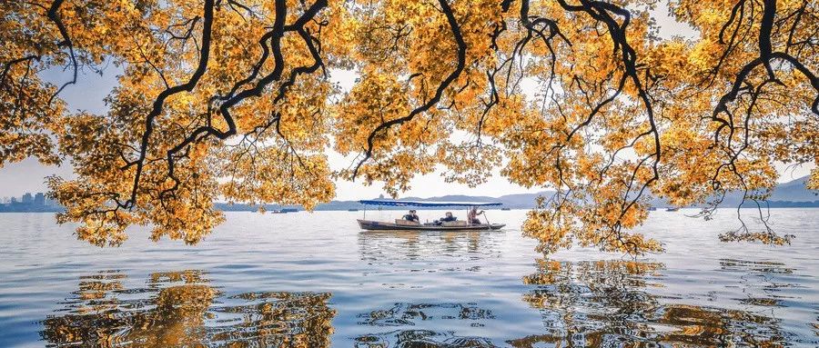五一扬州飞厦门特价机票价格,11月12月特价机票价格表大全