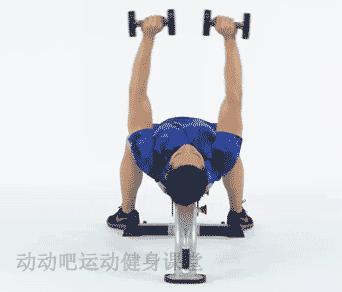 一副哑铃，五个动作，让你在家也能锻炼全身肌肉