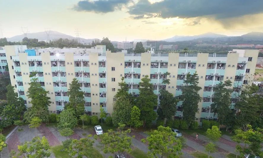 高职高考广东岭南职业技术学院,广东岭南职业技术学院高职宿舍